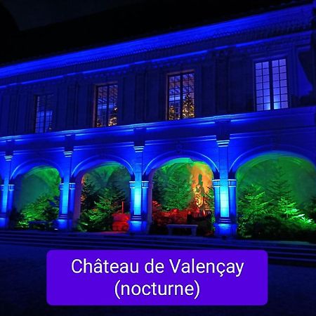 Villa Esperanza Chambre De Plain-Pied, Independante, Proche Zoo De Beauval Et Chateaux De La Loire Valencay Ngoại thất bức ảnh
