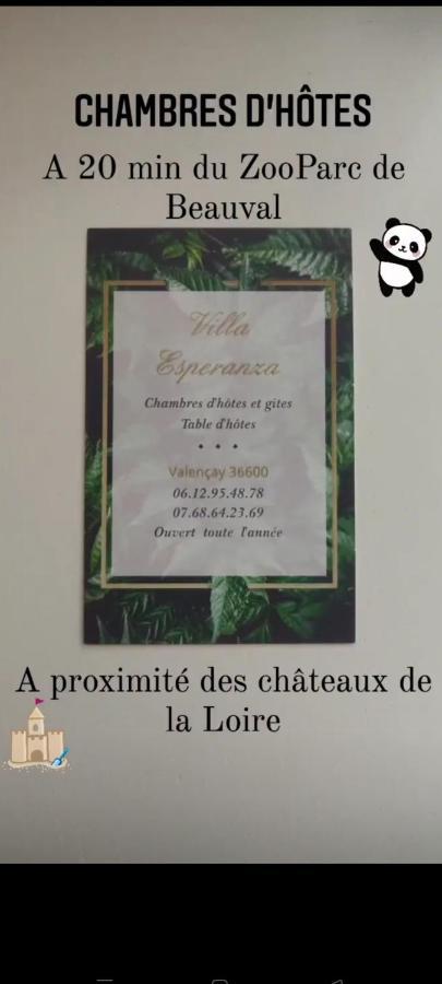 Villa Esperanza Chambre De Plain-Pied, Independante, Proche Zoo De Beauval Et Chateaux De La Loire Valencay Ngoại thất bức ảnh